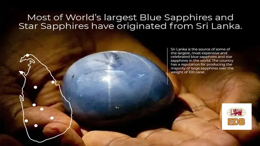Celebrated Blue Sapphires from Sri Lanka